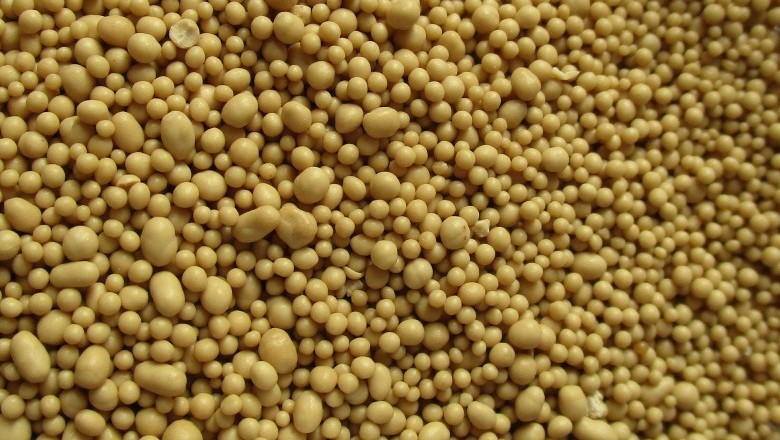 External Yeast Infection