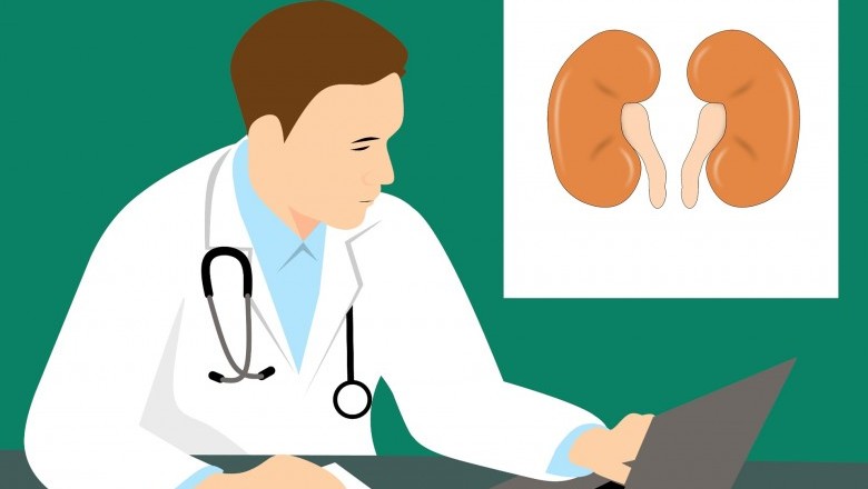 Blockage of the Kidney Arteries: an Overview