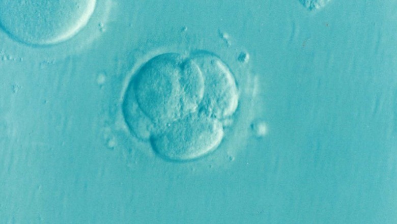 Infertility and its Impact on Divorce Rates