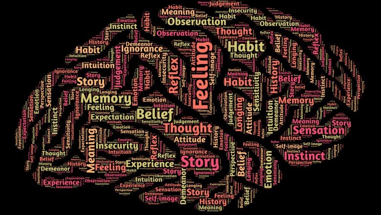 What Does it Mean to Be Intelligent?