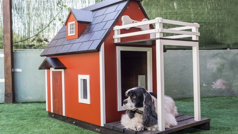 The Different Types of Dog Kennel Flooring