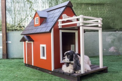 The Different Types of Dog Kennel Flooring