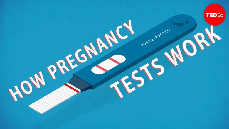 How do Pregnancy tests Work?