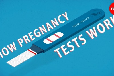 How do Pregnancy tests Work?