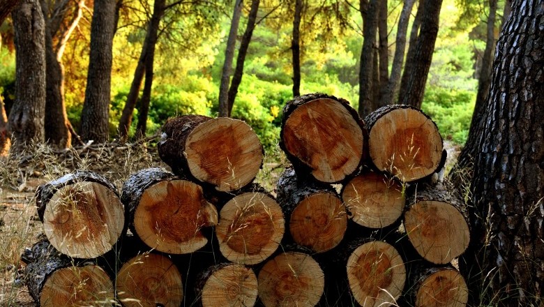 Hardwood Softwood Lumber Grades & Ways They Are Sold & Priced