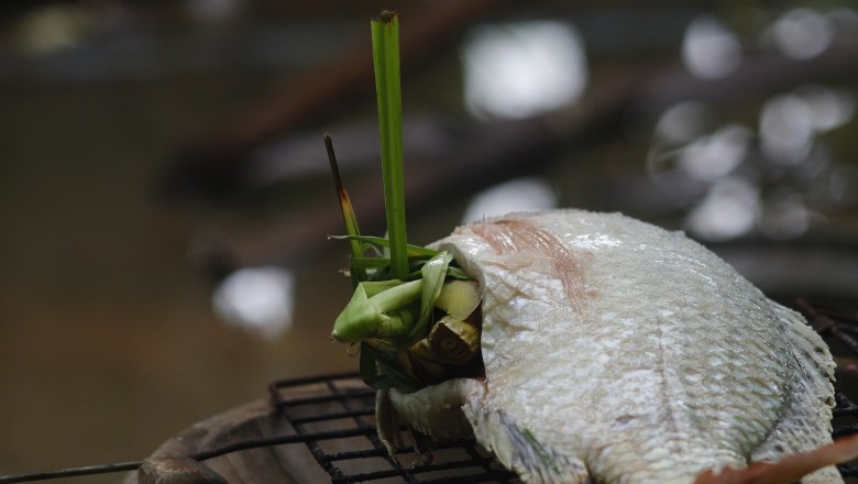 Cooking: Baking Tilapia