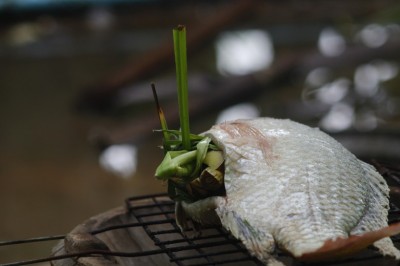 Cooking: Baking Tilapia