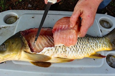 Catch and Cook Carp, How to cook Carp - Carp Fishing