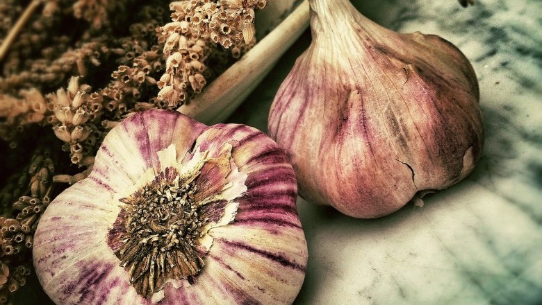 Can I Eat Sprouting Garlic?