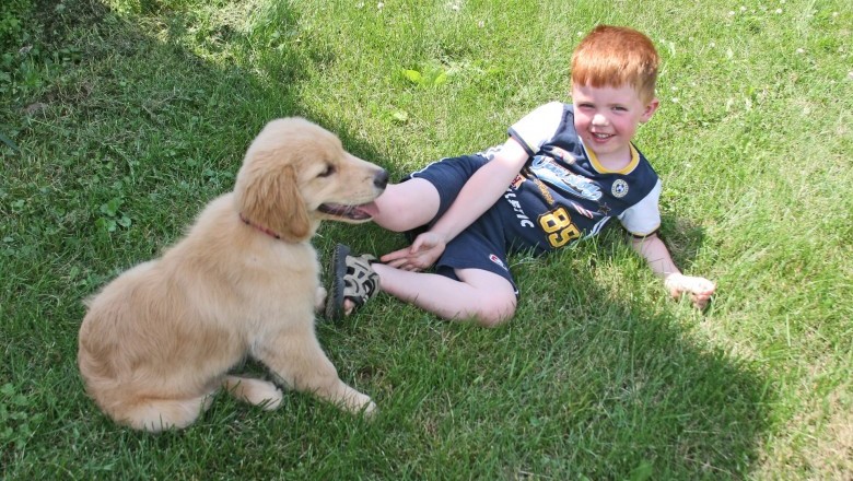 How to Choose Unique Boy Dog Names 