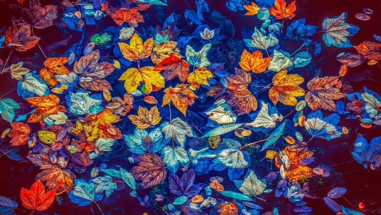 Wedding Colour Themes For Autumn and Winter Weddings