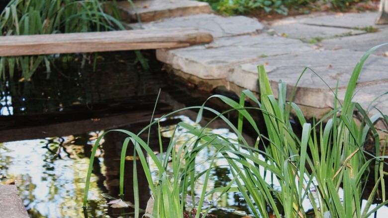 Installing A Backyard Pond In Your Backyard 