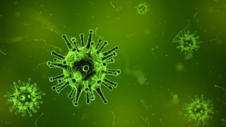 Lysine for Cold Sores - How Do I Use It For My Cold Sore?