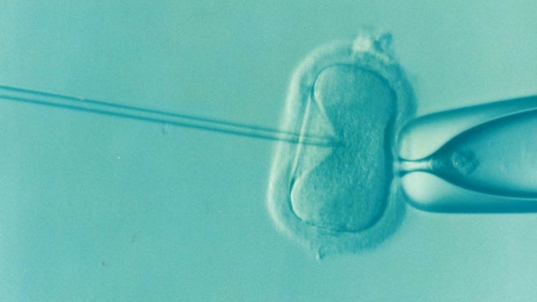 Symptoms of early ivf pregnancy: Check for Usual Pregnancy Symptoms