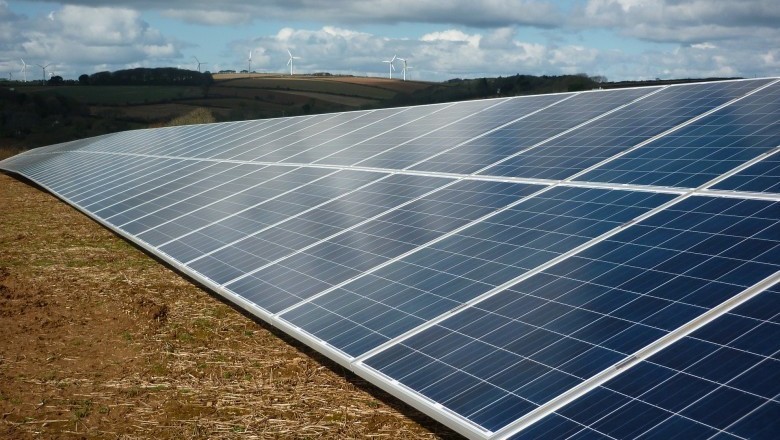 How we can all help the environment