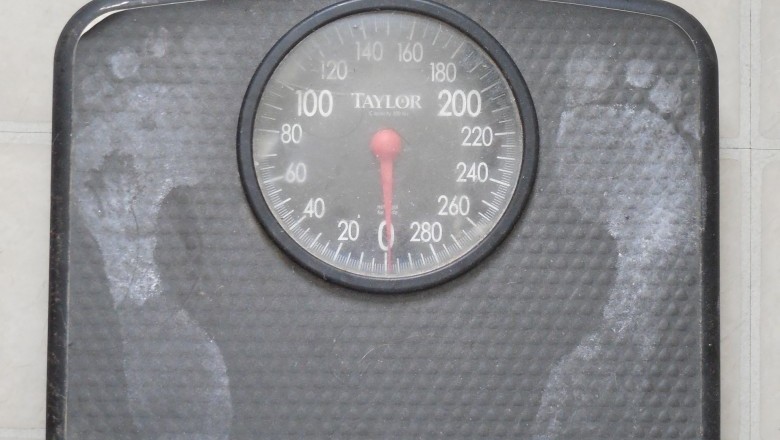 Can the BowFlex Tread Climber Really Help You Lose Weight in Six Weeks?