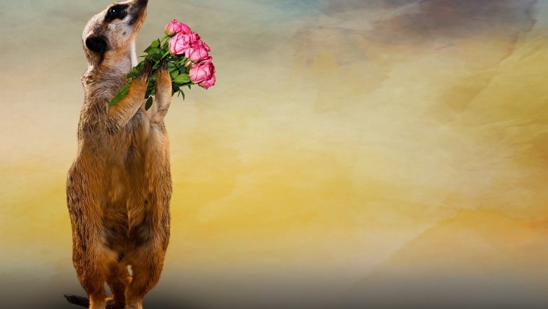 Does My Boyfriend Still Love Me?