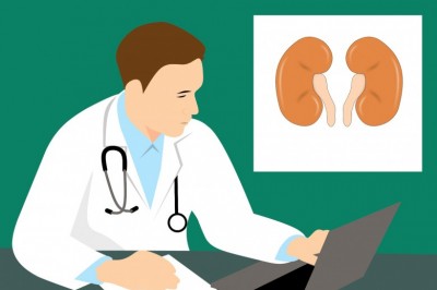 Kidney Cysts - Information on Kidney Cysts