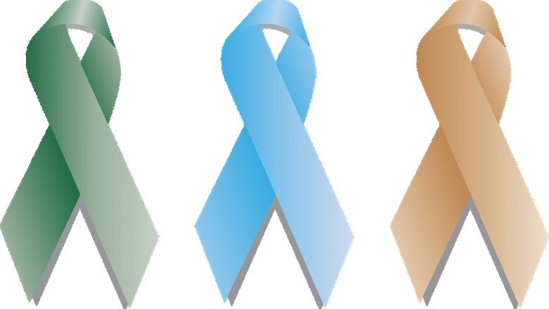 Beta-Sitosterol and Prostate Health