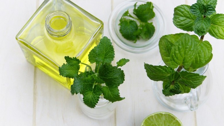 Cold Sore Treatment - Lemon Balm Ice
