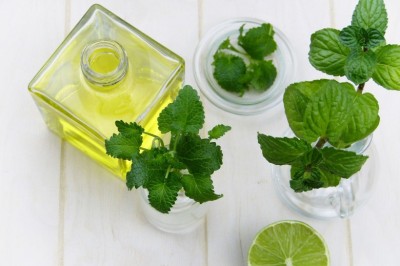 Cold Sore Treatment - Lemon Balm Ice