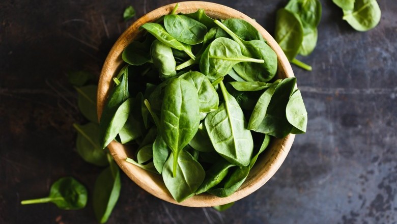 What Is The Basil Plant Good For? 