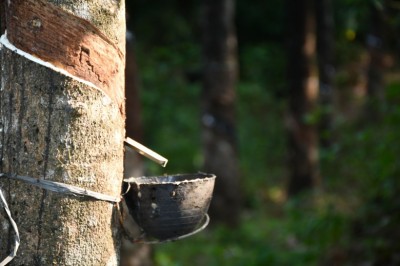 Malaysian Rubber Wood, and why is it a good choice for bathrooms.