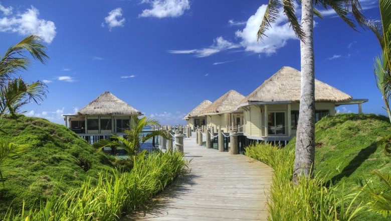 The Different Styles of Bull Tattoo