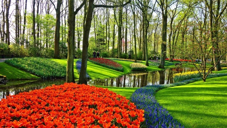 Tips for Weed-Free Flower Beds