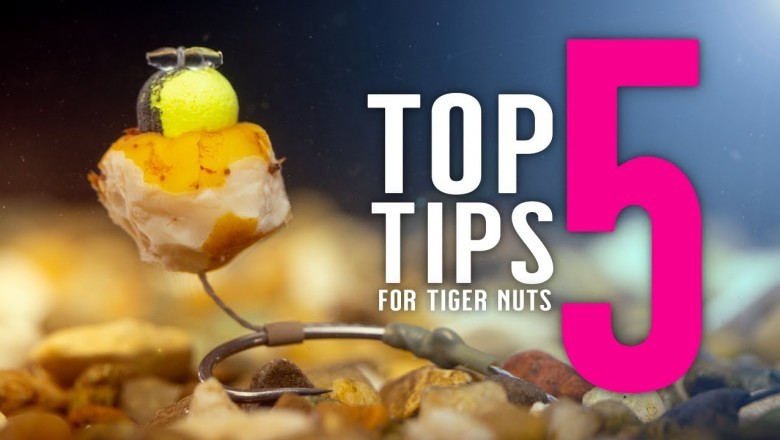 Carp Fishing Tiger Nuts For Better Boilies Pellets And Ground Baits!